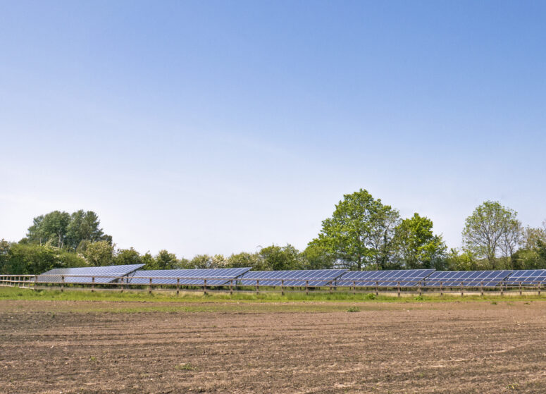 Solar panels at The Balloon Tree