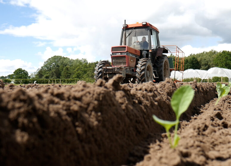 A tractor at work in the fields